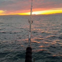 ショア磯エギング(ﾌﾟﾗｯｷﾝｸﾞ笑)