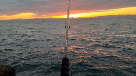 ショア磯エギング(ﾌﾟﾗｯｷﾝｸﾞ笑)