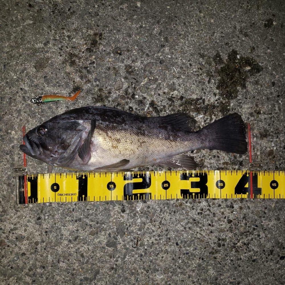 超渋だねスズキさん!