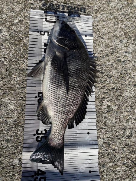 イチノ兄弟（兄）釣果！