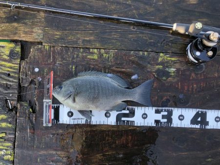 悪天候の合間の晴れの日