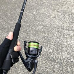 美味魚が食べたくて