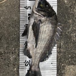 イチノ兄弟（弟）釣果！