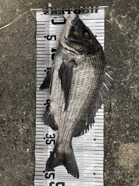 イチノ兄弟（弟）釣果！