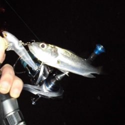 まだまだゴミは多め…