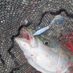 スローな動きが◎