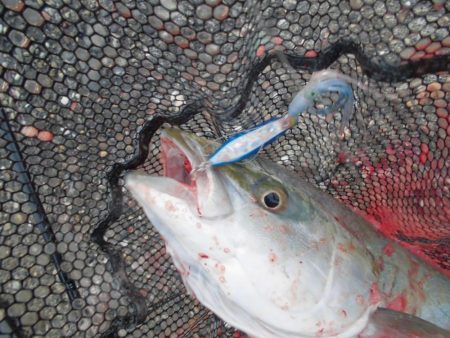 スローな動きが◎