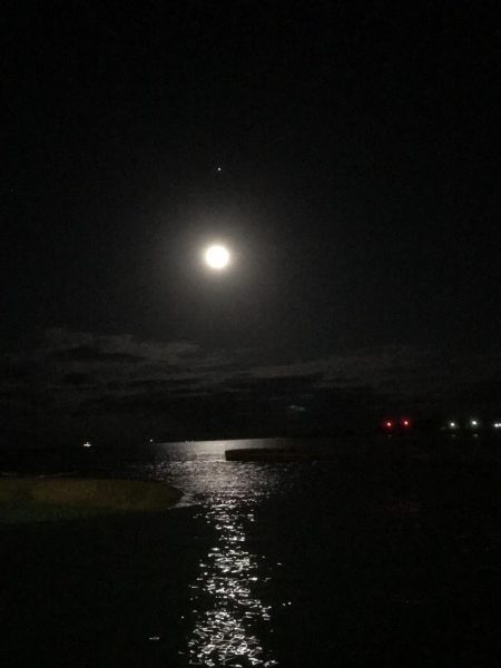 雨上がりでもセイゴ