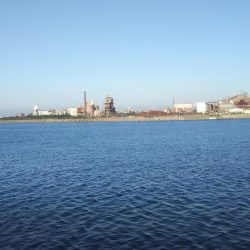 絶不調からのマゴチ！