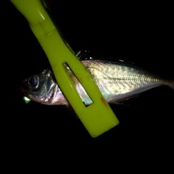 寒くてなってから3日目