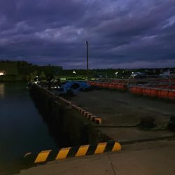 今年はアジ当たり年!?