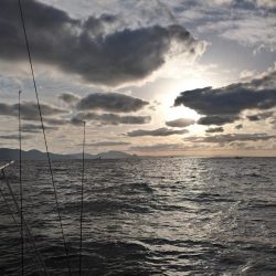 寒鰤ジギングシーズン開幕