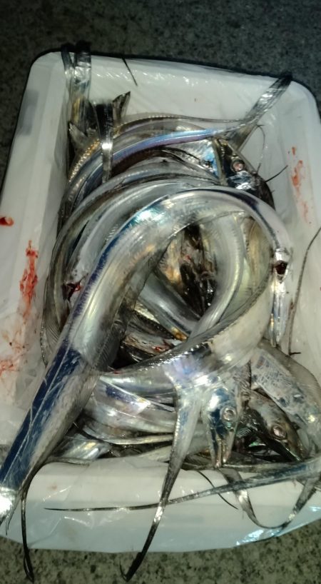 クーラーいっぱい