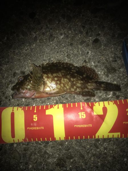 一誠　ハネエビロッド2 鱗付け完了