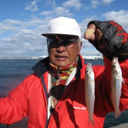 播磨新島のキス釣行