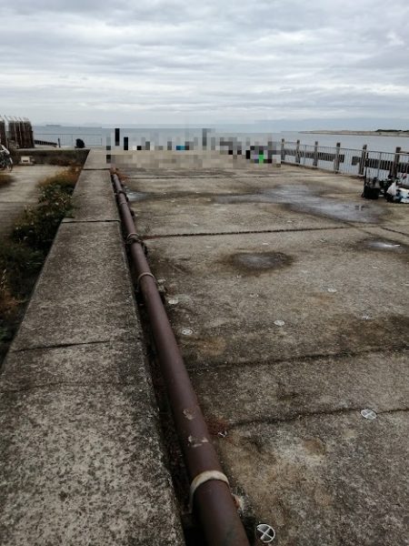 青物チャレンジ