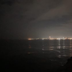 メバルにカサゴ