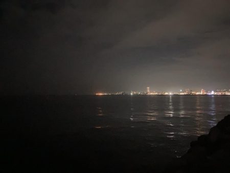 メバルにカサゴ