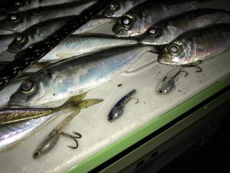 青物が終わって