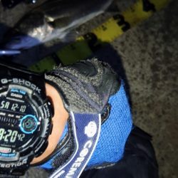 ぶらシーバス!!