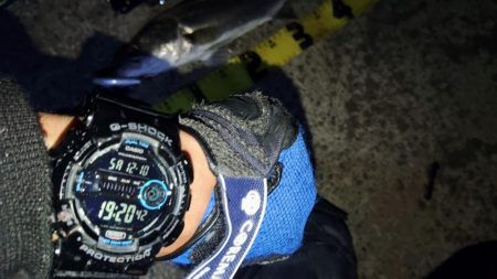 ぶらシーバス!!