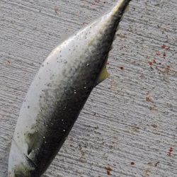 ラストスパート