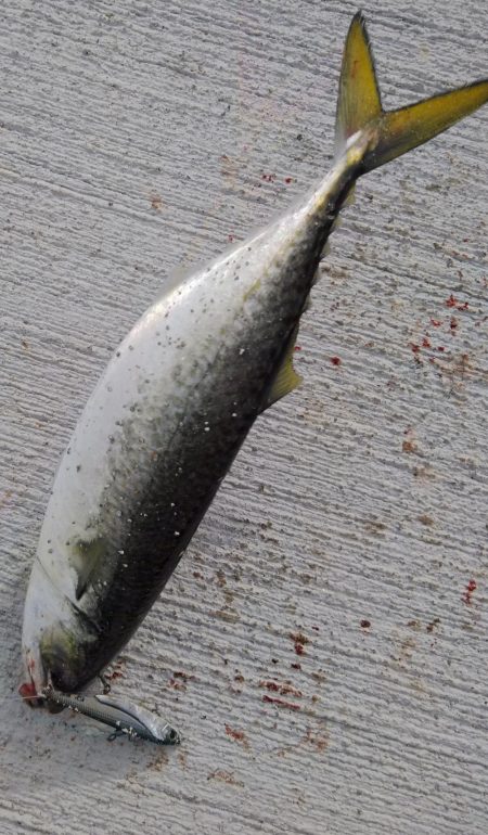 ラストスパート