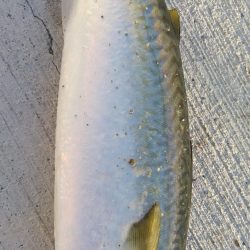 イライラを押さえて！