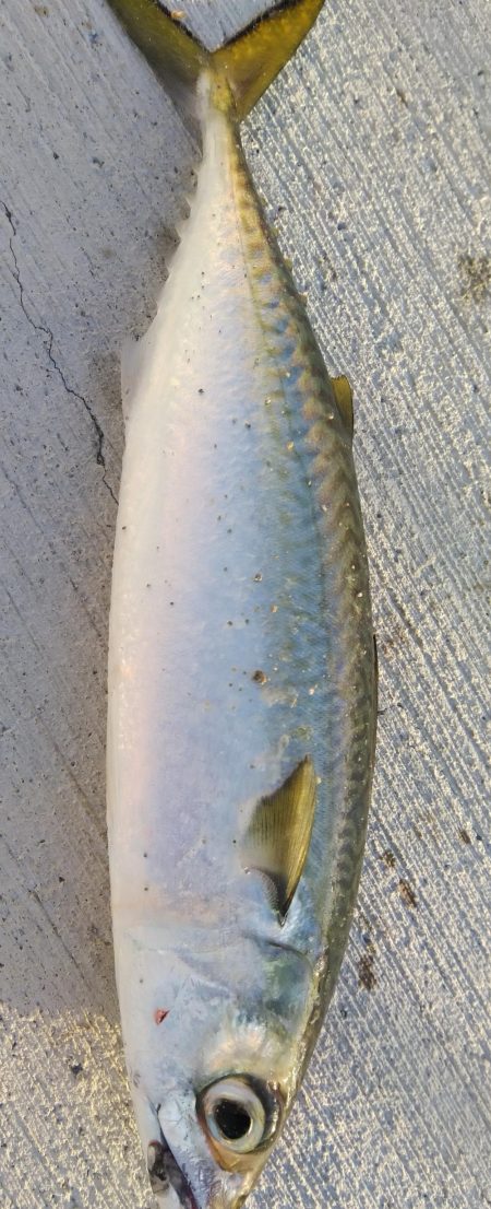 イライラを押さえて！