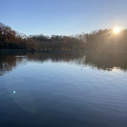 BerryPark in FISH ON！王禅寺