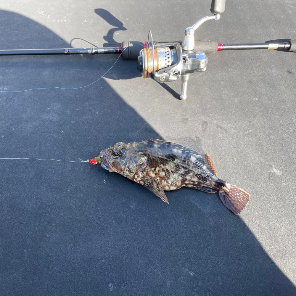 ライトタックルゲーム