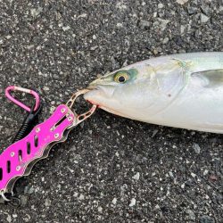 初の日本海デビュー!