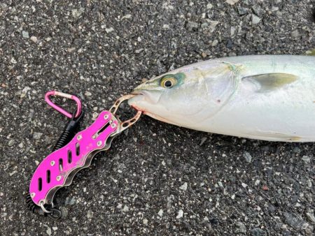 初の日本海デビュー!