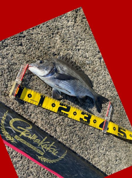 釣り場に着くと