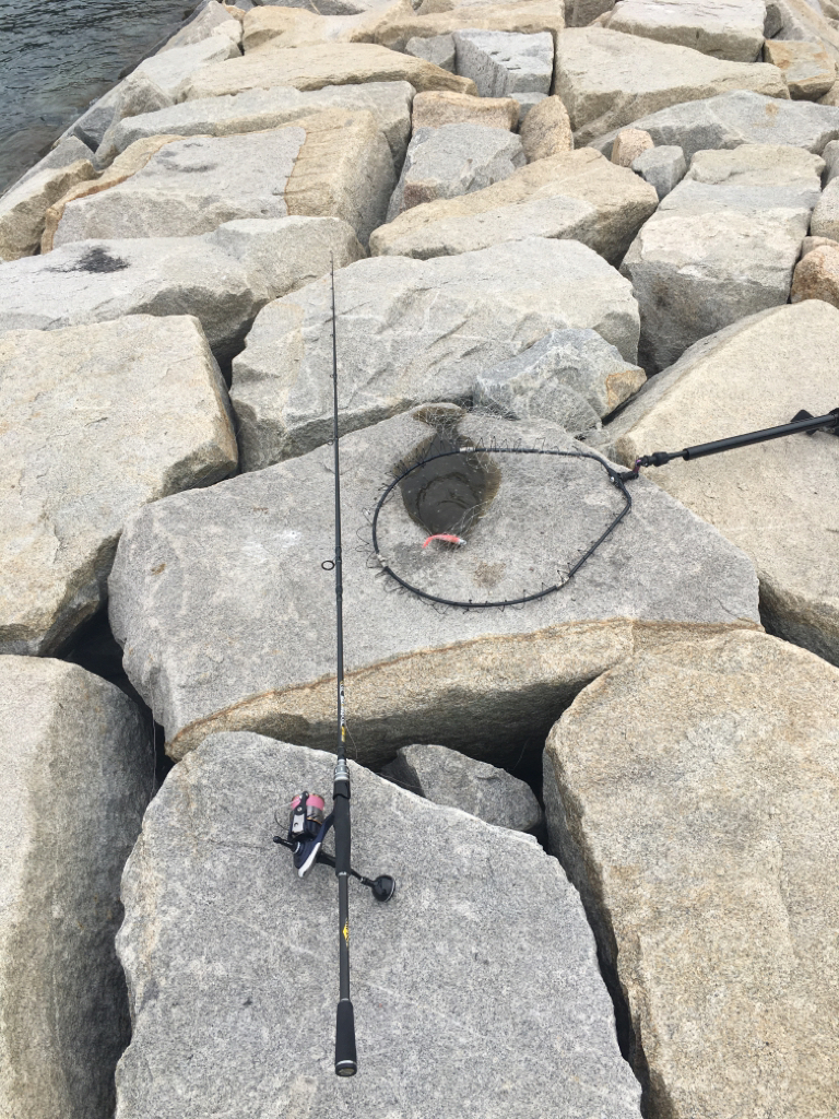 ソルトルアーでヒラメをゲット