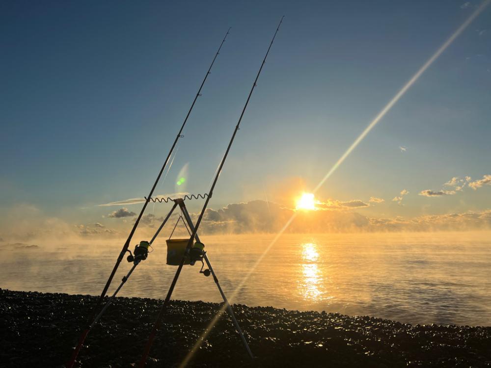 コロダイ、イシダイ狙い