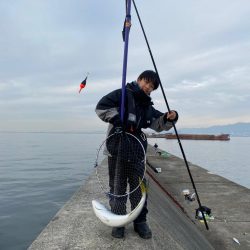 ノマセ好調‼️…