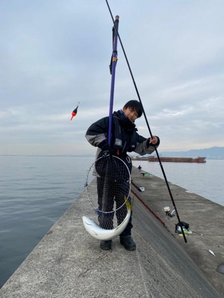 ノマセ好調‼️…