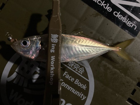 ミニにはミニで