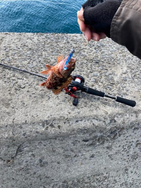 ベイトタックルデビューで小物釣り