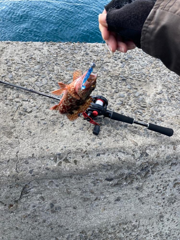 ベイトタックルデビューで小物釣り