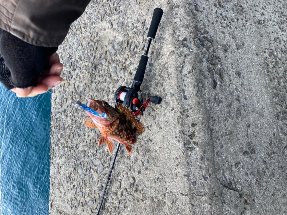 ベイトタックルデビューで小物釣り