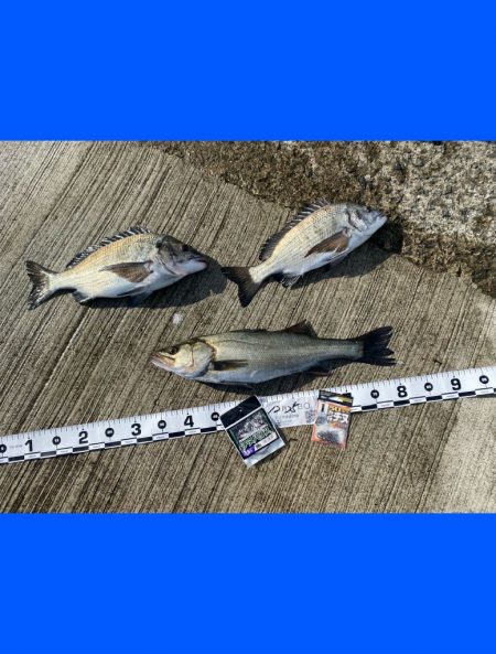 濁りが緑色の状況の中で