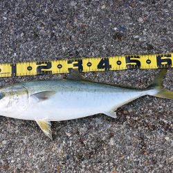 期待とは裏腹に…