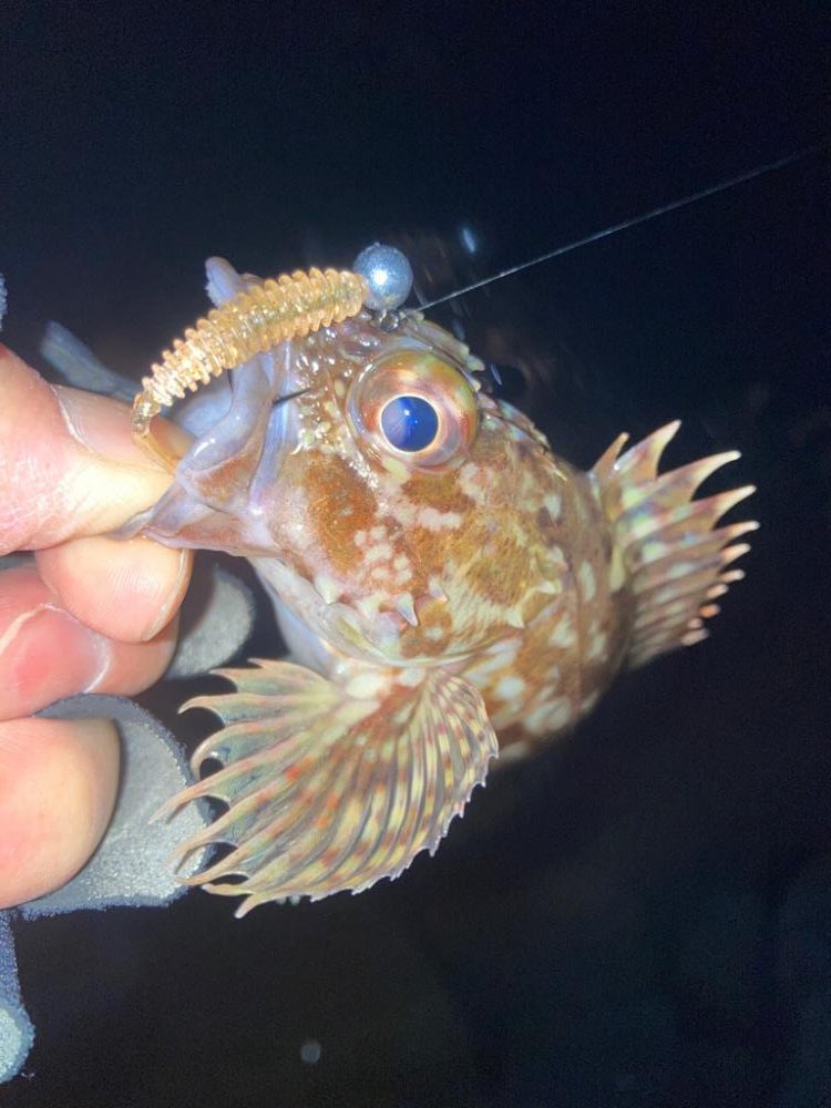 2022ライトゲーム最終戦（第48戦）