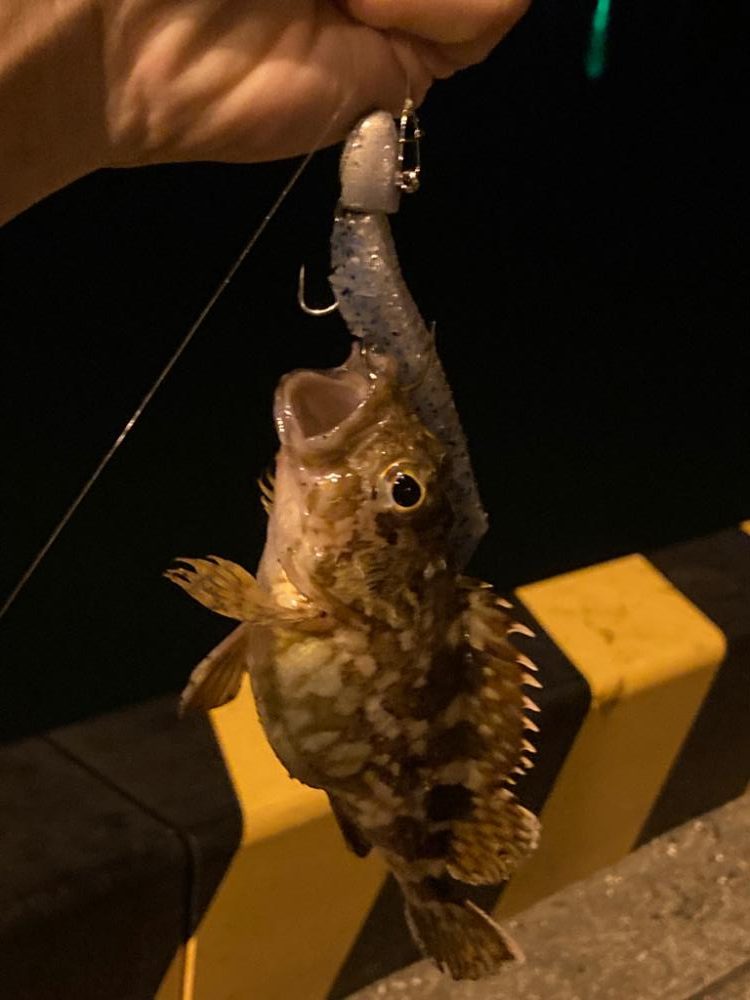 ベイトタックル練習中