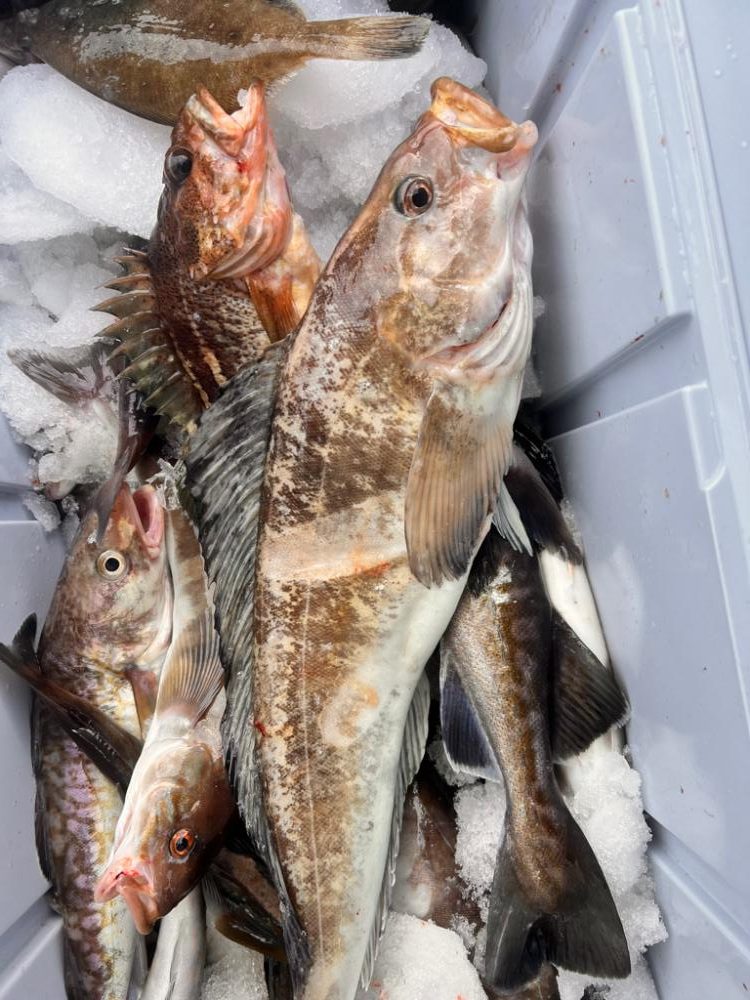 オフショアジギング