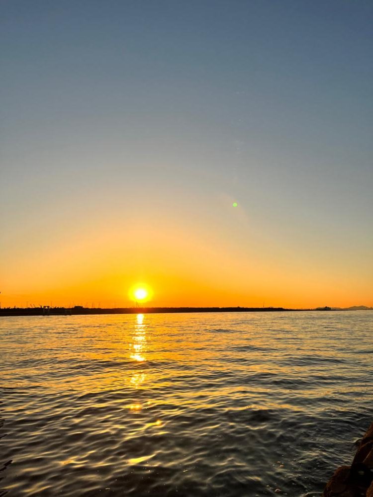 小アジオンリー