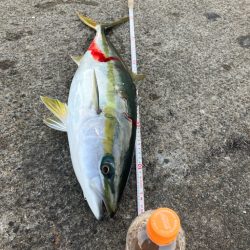 大阪都市部リバーブルー