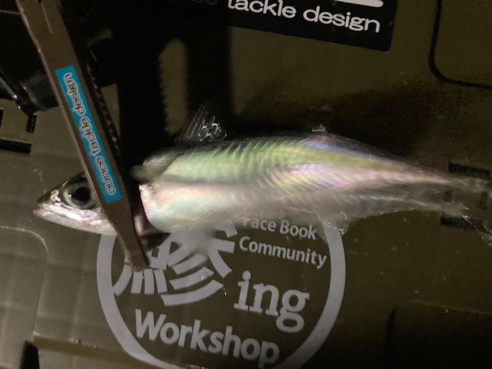 なかなか廻って来ない